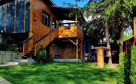 Tiny House Căsuța cocoțată - Valea Doftanei - 2camere